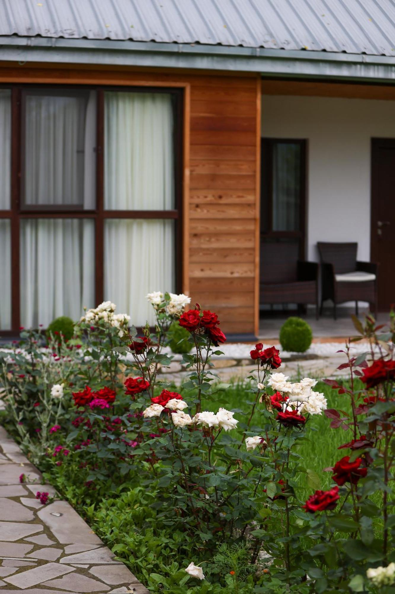 Alvani Inn K'vemo Alvani 外观 照片