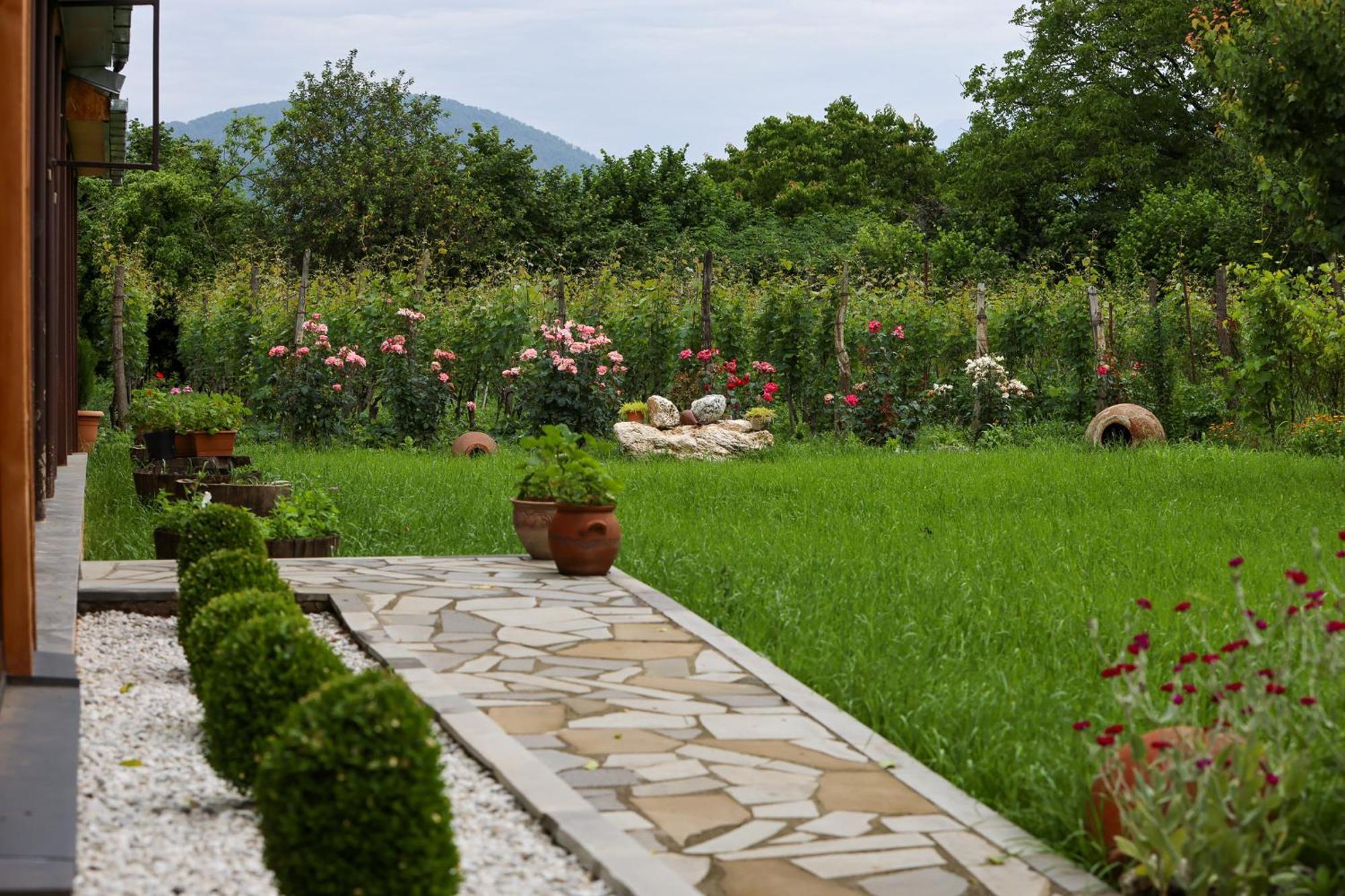 Alvani Inn K'vemo Alvani 外观 照片
