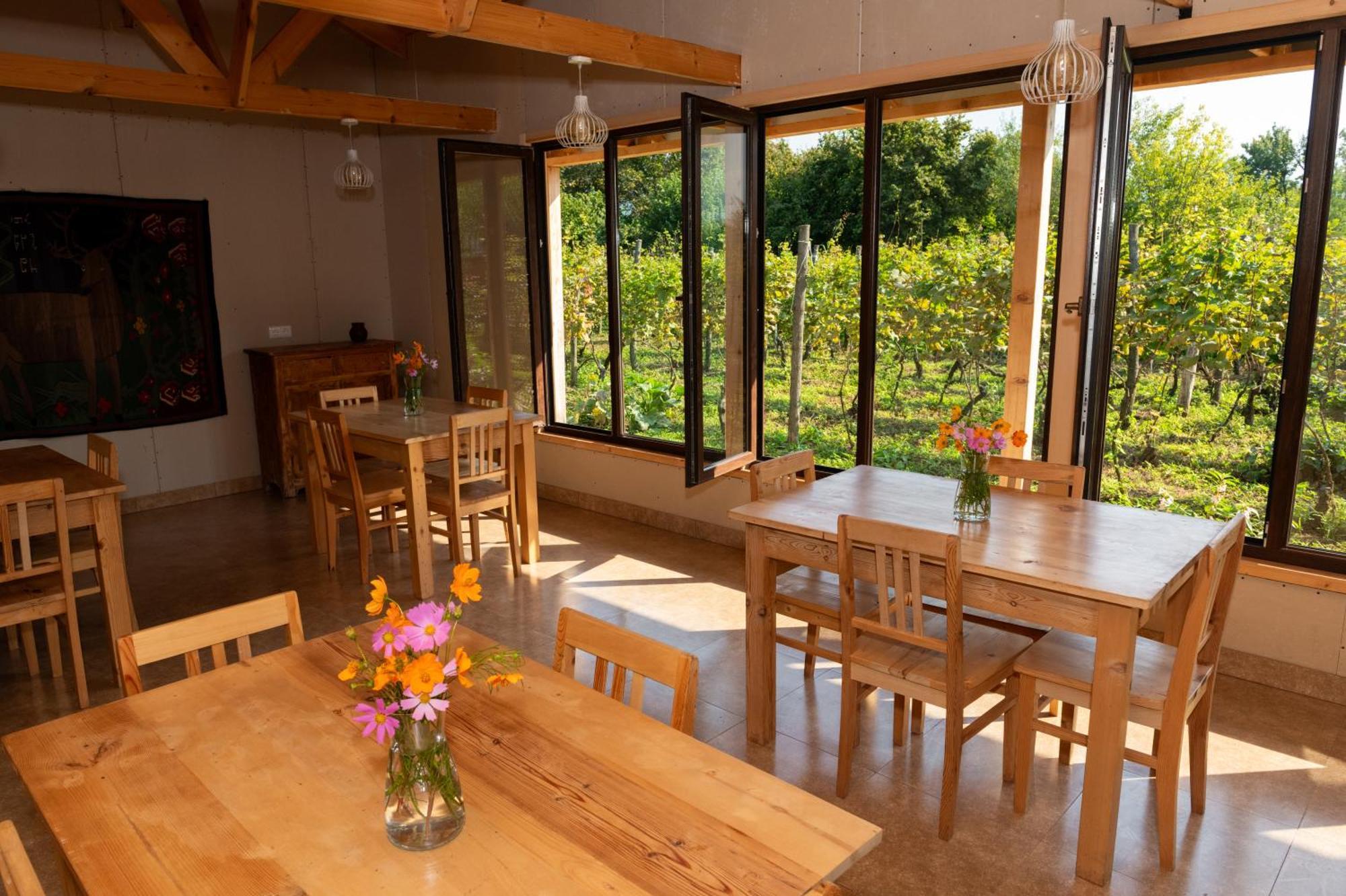 Alvani Inn K'vemo Alvani 外观 照片