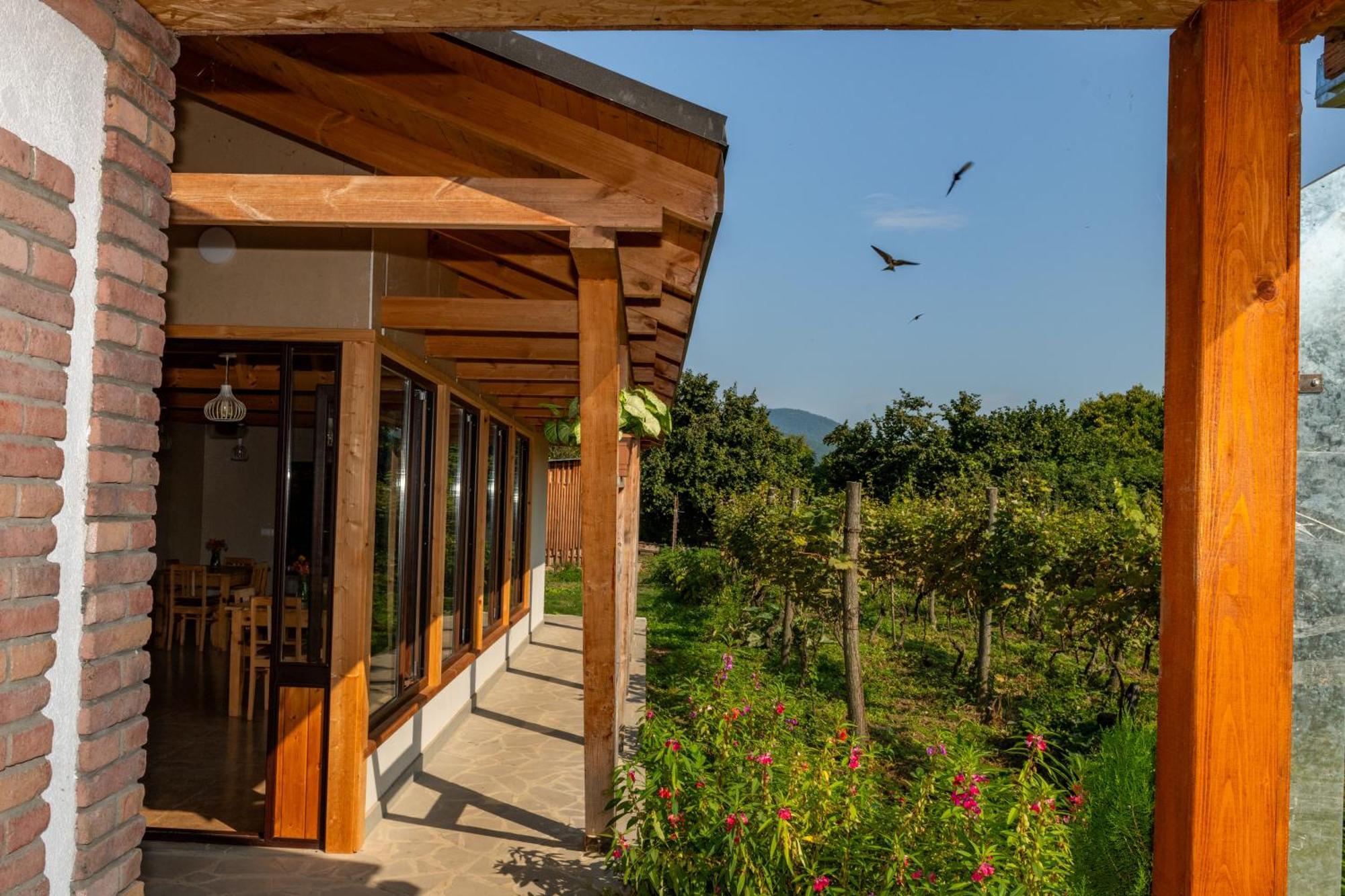 Alvani Inn K'vemo Alvani 外观 照片