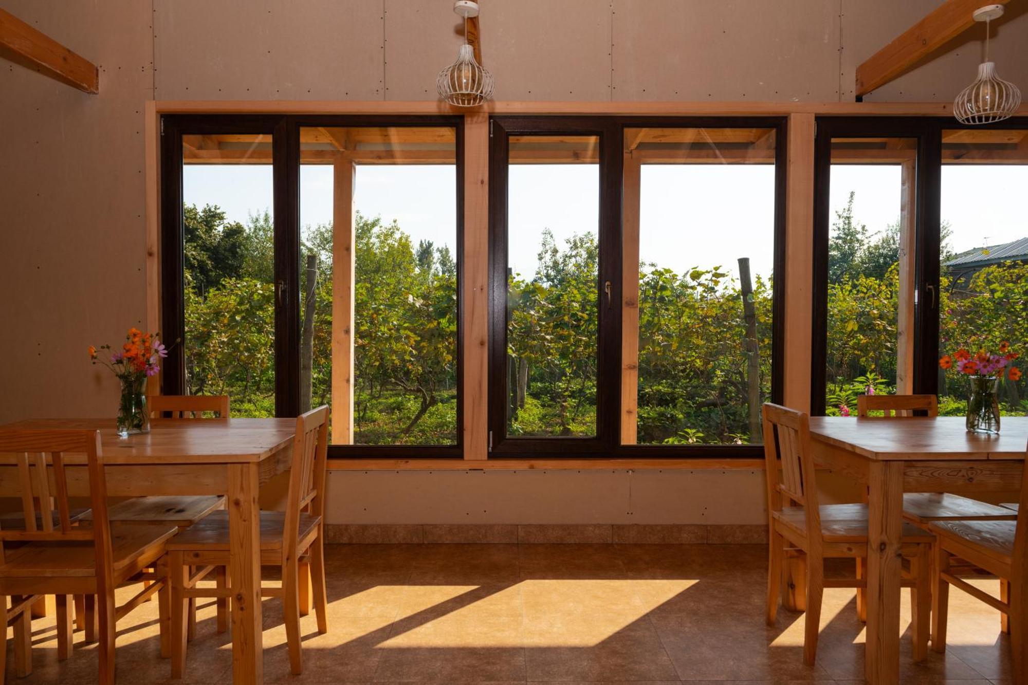 Alvani Inn K'vemo Alvani 外观 照片